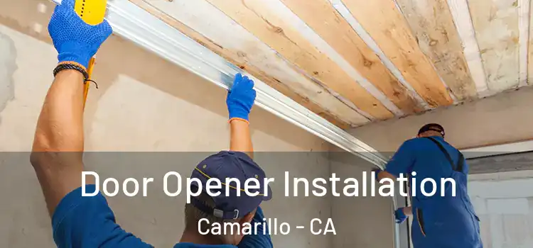 Door Opener Installation Camarillo - CA