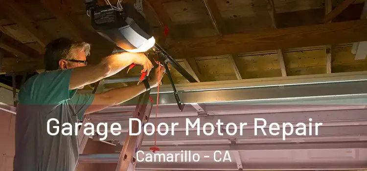  Garage Door Motor Repair Camarillo - CA