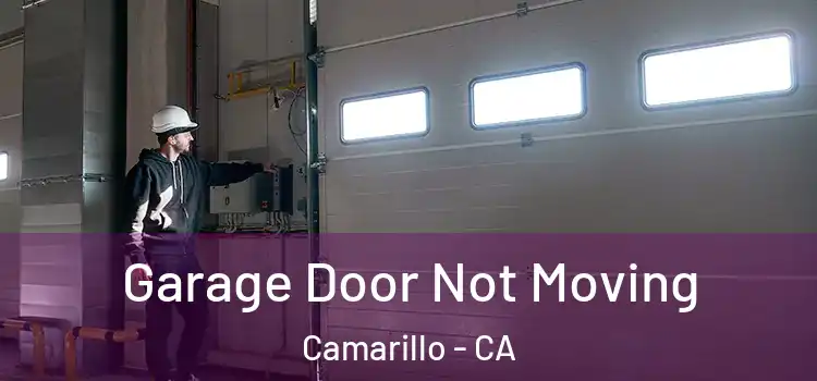  Garage Door Not Moving Camarillo - CA