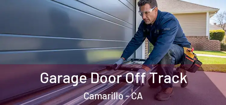  Garage Door Off Track Camarillo - CA