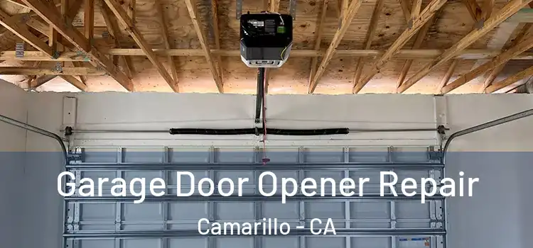  Garage Door Opener Repair Camarillo - CA