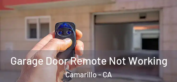  Garage Door Remote Not Working Camarillo - CA