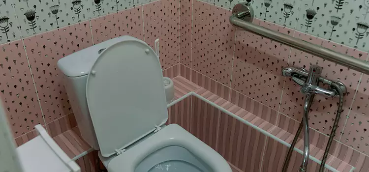 Meeting Diverse Needs With Accessible Restroom Solutions in Camarillo, CA
