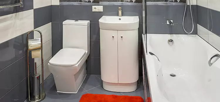 Hansgrohe Shaving Mirror Camarillo