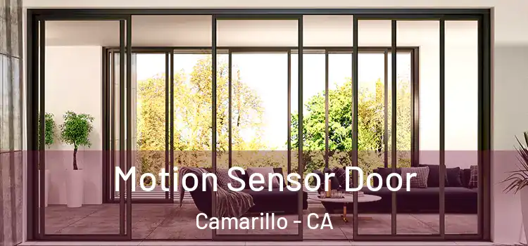 Motion Sensor Door Camarillo - CA